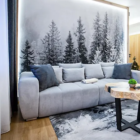 Apartment Visitzakopane - Radowid Loft