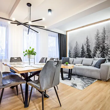 Visitzakopane - Radowid Loft *