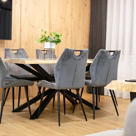 Visitzakopane - Radowid Loft * زاكوباني