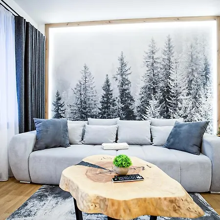 Visitzakopane - Radowid Loft * زاكوباني