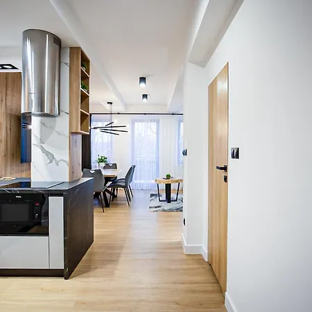 Apartment Visitzakopane - Radowid Loft