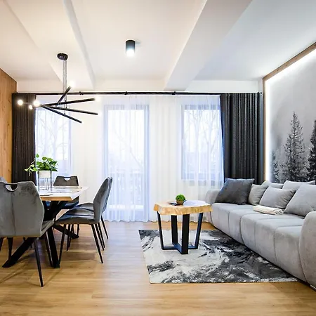 Apartmán Visitzakopane - Radowid Loft