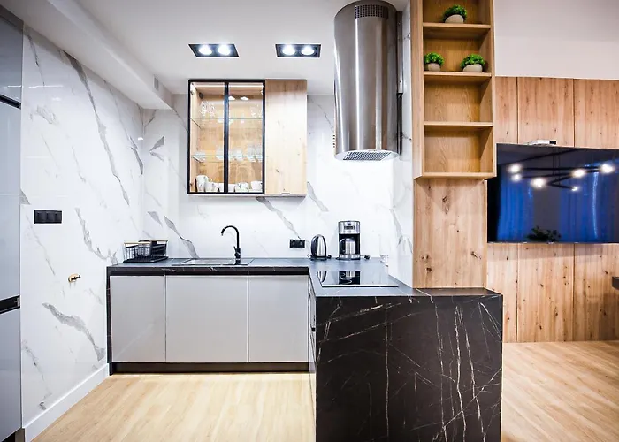 Visitzakopane - Radowid Loft *