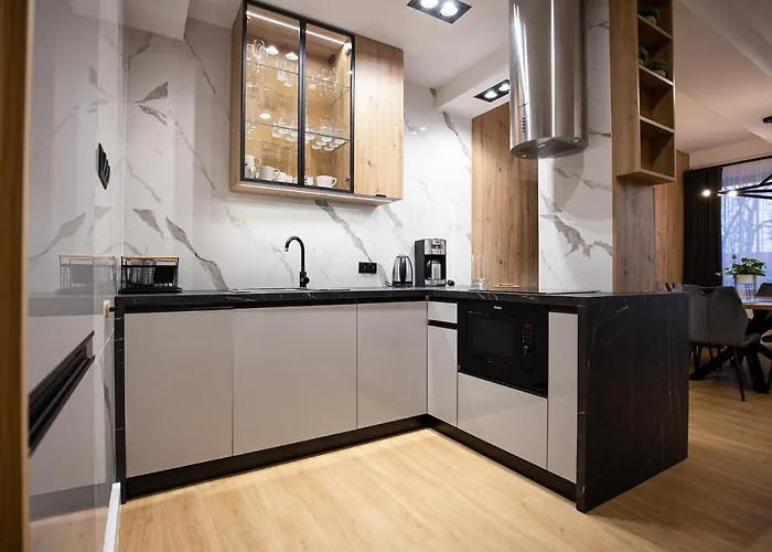 Visitzakopane - Radowid Loft Appartement